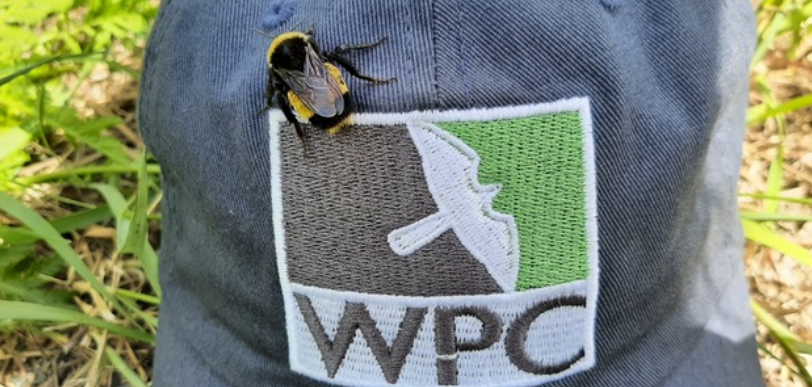 Wildlife Preservation Canada Donation